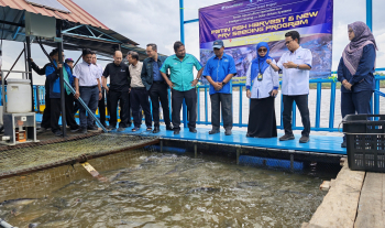[UMPSA NEWS] Tuaian Patin dan Pelepasan Benih Baharu Penanda Aras Kejayaan iSenseFishery